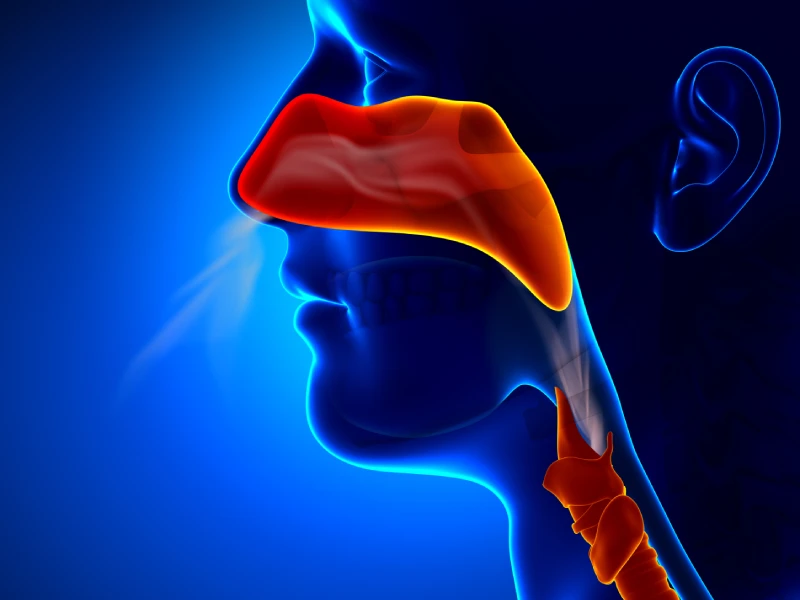 מחלות אף אוזן וגרון